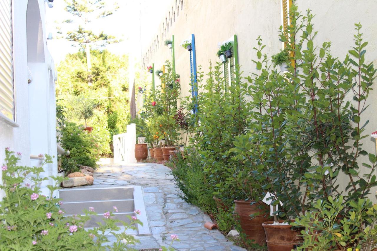 Carolina Apartments Crete Agia Pelagia  Bagian luar foto
